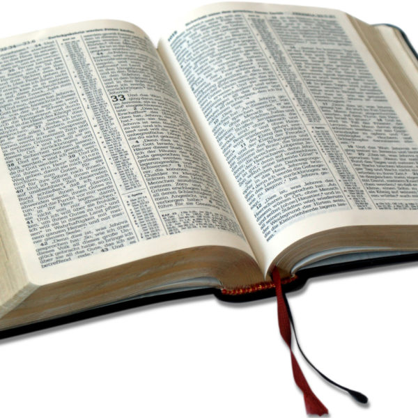 bible bible