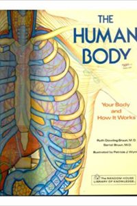 humanbody